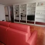Le finestre sugli ulivi