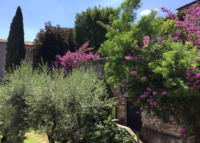 Le finestre sugli ulivi
