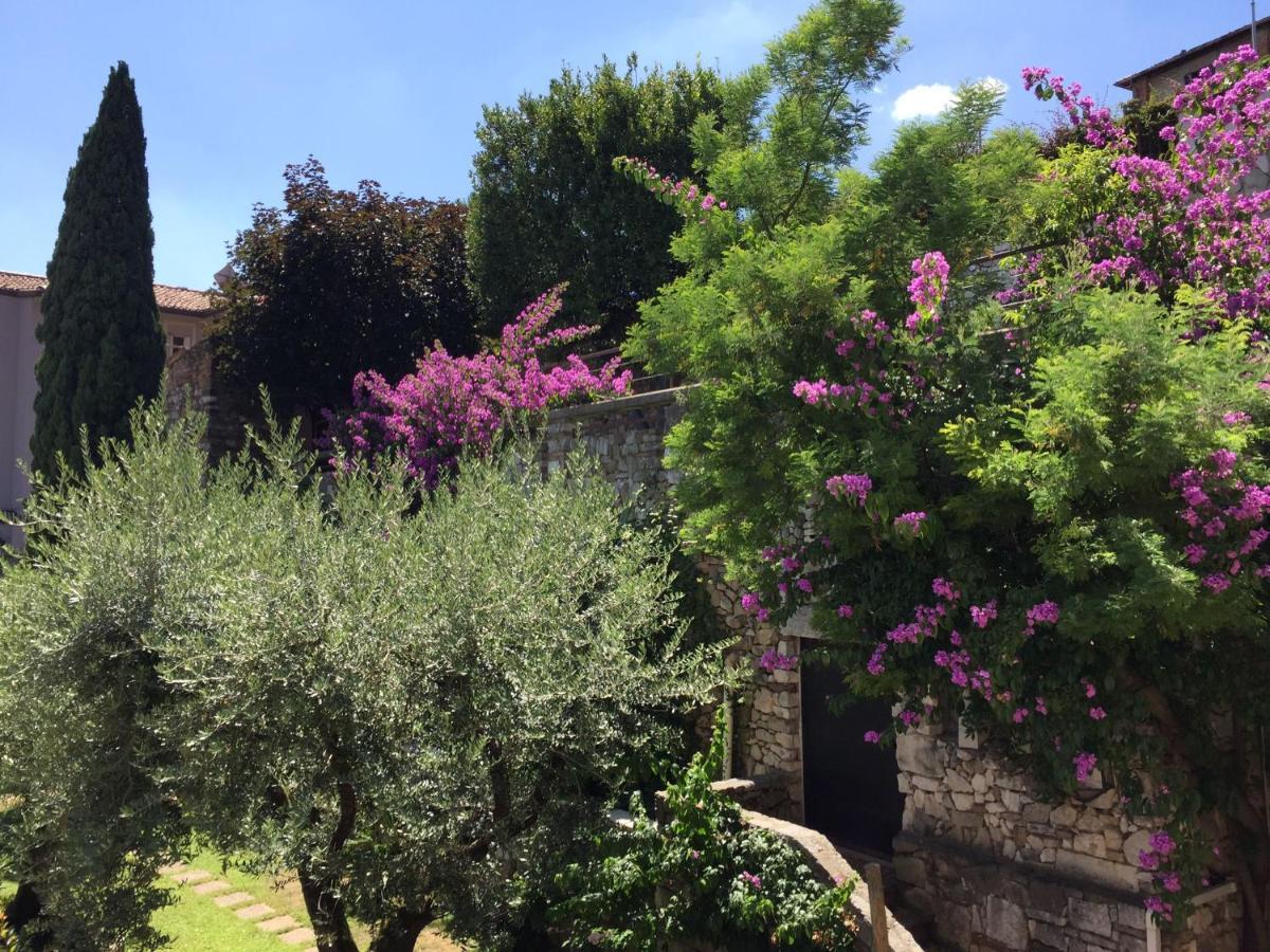 Le Finestre Sugli Ulivi Appartamento *